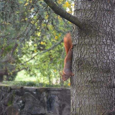 Domaine Insolite Du Petit Moras Chomerac Exterior photo